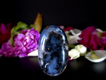 MUSTIKA KEBAL TUMPUL