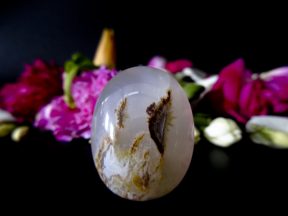 MUSTIKA PELARIS DUNIA MALAM