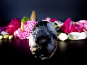 MUSTIKA PELET BIRAHI NYI ANTASENA