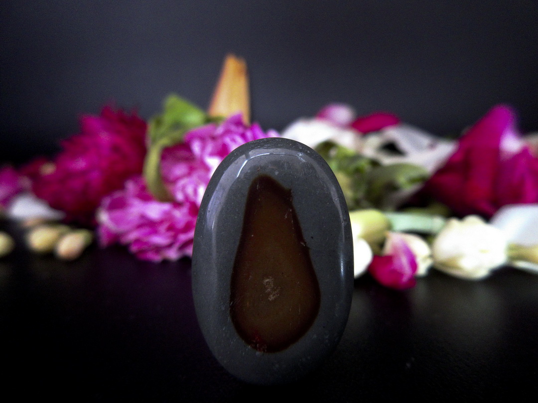 Mustika Kantong Semar Paten Hitam